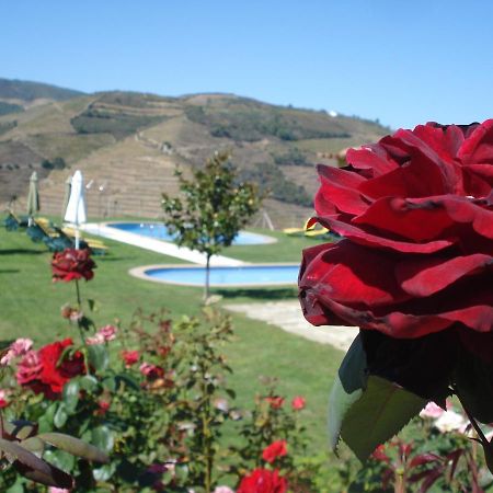 Hotel Rural Da Quinta Do Silval Vale de Mendiz Exterior photo